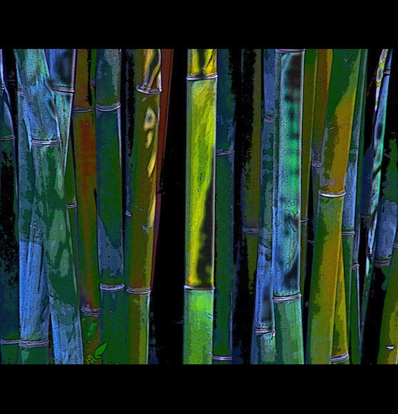 Bamboo Blues