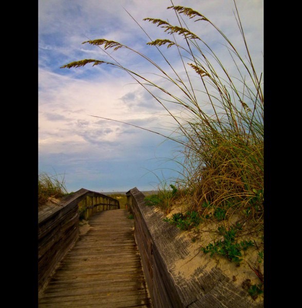 Boardwalk Stroll