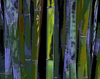 blue and green abstract bamboo
